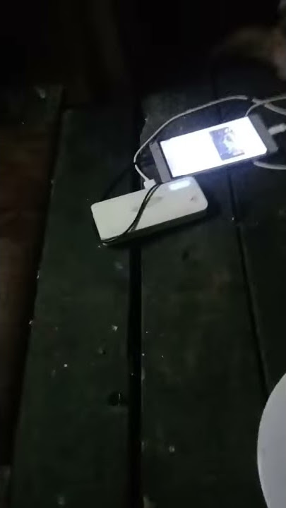semok