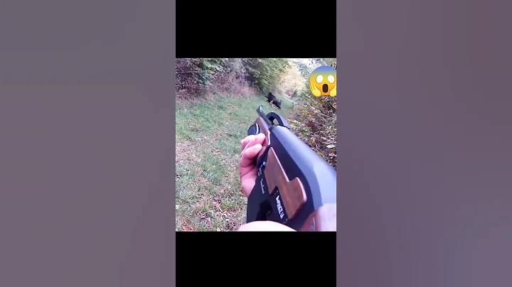 великолепный снимок охоты на кабана#chase#challenge#hunting#youtubeshorts