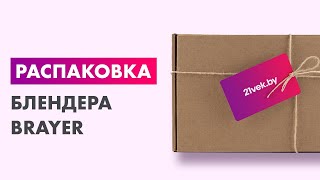Распаковка — Блендер погружной Brayer BR1244