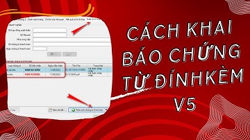 Khai báo chứng từ hồ sơ Hải quan đính kèm V5