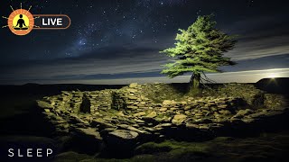 🔴 Deep Sleep Music 24/7, Calming Music, Insomnia, Sleep, Relaxing Music, Study, Sleep Meditation