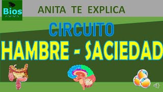 Circuito hambresaciedad