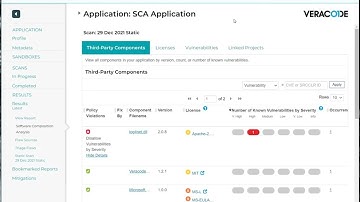 Reviewing Scan Results using the Veracode Web Interface
