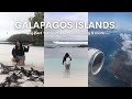 GALÁPAGOS ISLANDS 2022 • VLOG | the journey there + secret beach + wildlife encounters
