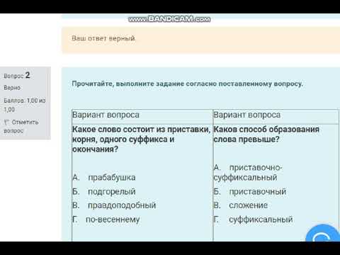 [на 100 баллов] Практическое занятие 3. Задания 1-8 по русскому языку (НСПК)