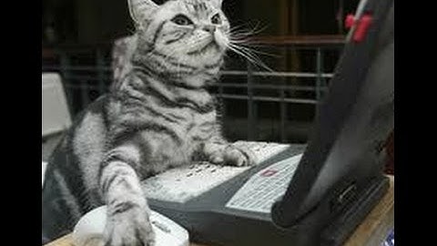 CS:GO Name Tag Glitch Glitched???