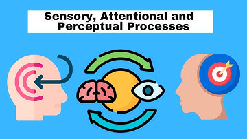 Sensory, Attentional and Perceptual Processes