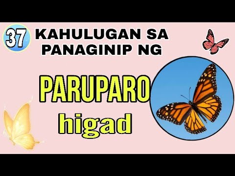 Video: Bakit nangangarap ang mga butterflies sa isang panaginip para sa isang babae at isang lalaki