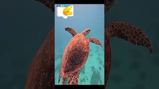 Yorum Alayım Bu Güzelliğe