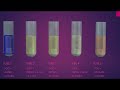 Pepsin digestion of protein experiment