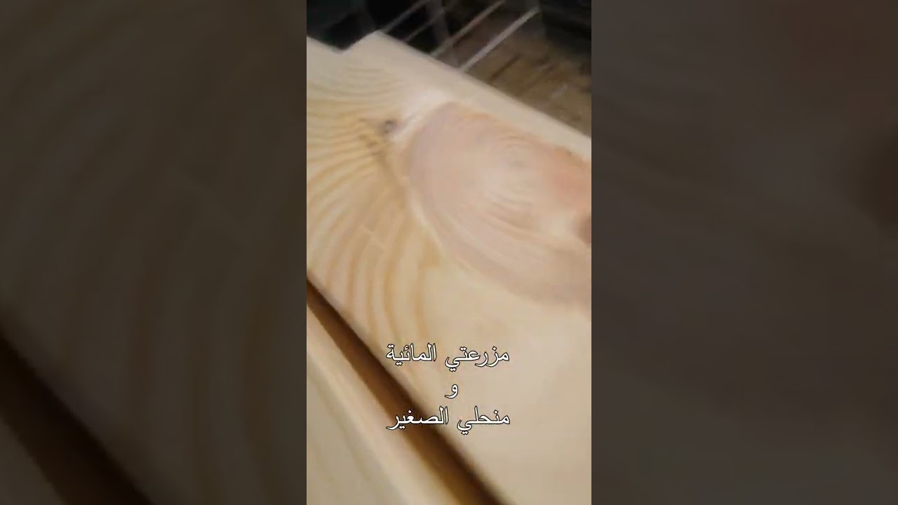 قياسات الخلية العربية على نظام ابو سلمان