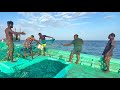 Ohh❗Deep Sea Net Fishing 💢 Full video Capture 🤩 Indian Fishing Adventures 