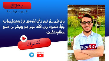 ما تيسر من سورة النحل - القارئ أسامة عريبة