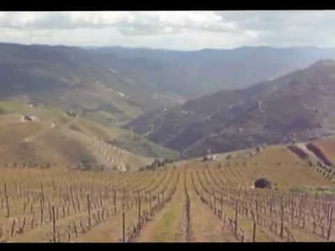 ALIJÓ | VALE DO DOURO (ENTRE VILARINHO COTAS  &amp; COTAS)