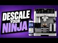 Descaling the Ninja Luxe Café: What to Use