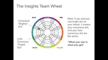 Insights Discovery Review
