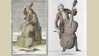 Carl Ditters von Dittersdorf - Concerto for double bass (contrabasso) No.2 in D major, Kr.172 [1762]