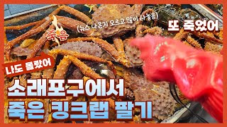 소래포구에서 죽은 킹크랩을 팔았습니다