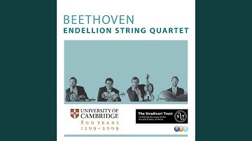 Prelude and Fugue in C Major, Hess 31: I. Prelude