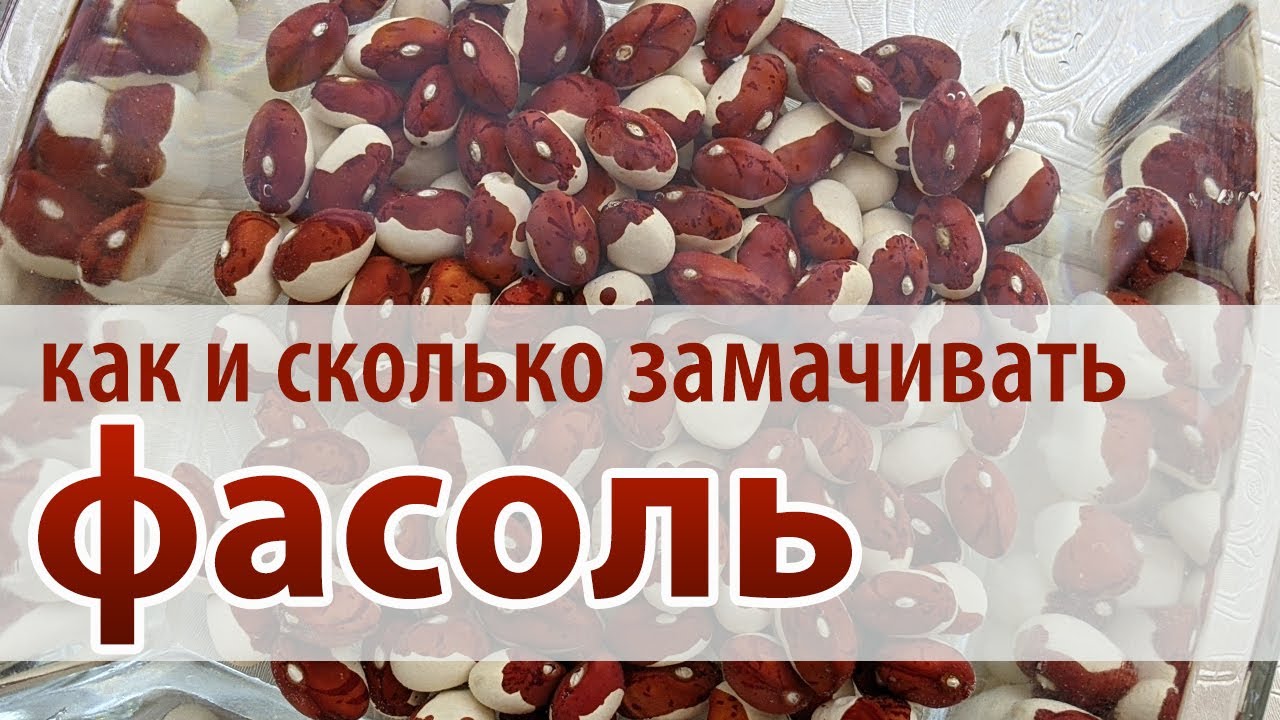 Нужно ли замачивать фасоль. Замоченная фасоль. Замоченная красная фасоль. Сколько замачивается фасоль. Как замочить фасоль.