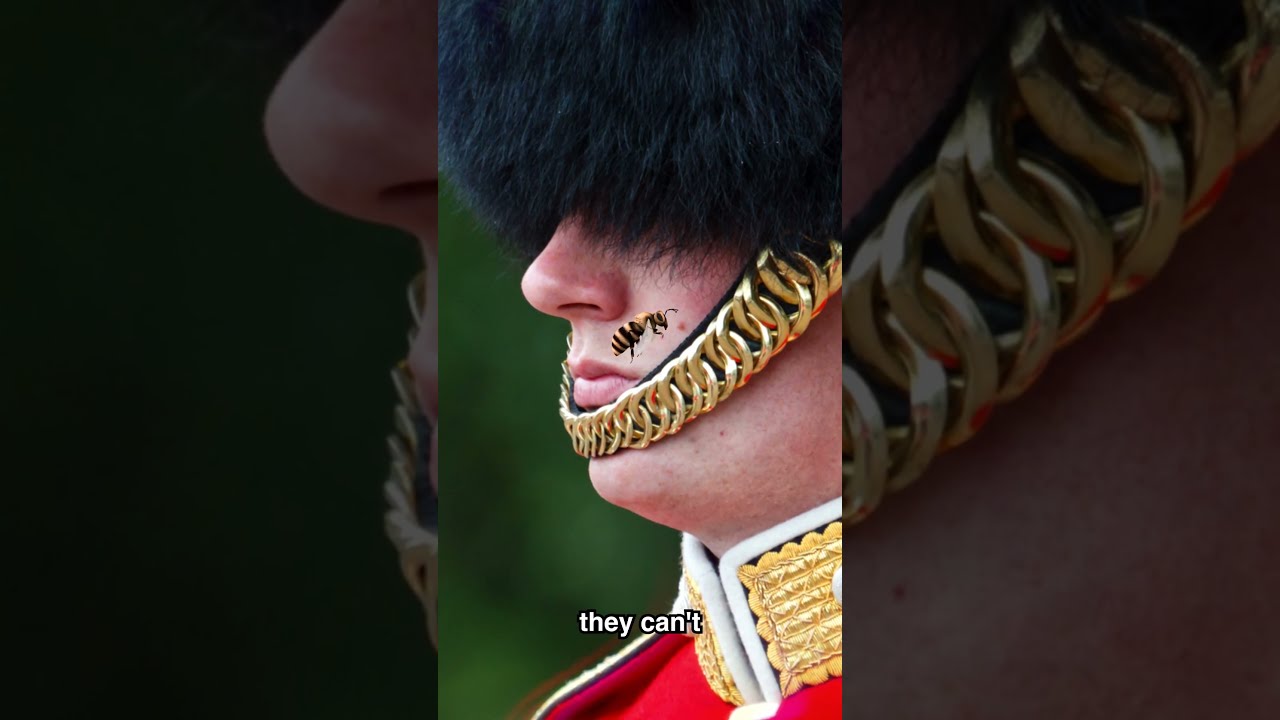 NEVER Mess With A Royal Guard
