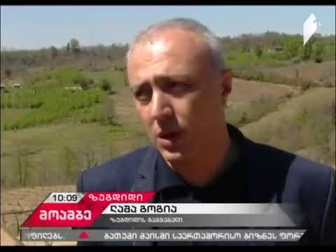 „კარდაკარ საჭიროებებზე“   ზუგდიდის გამგეობის ახალი პროექტი1