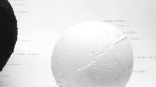 Zeitgeber - None of Their Defects (SALP001)