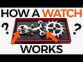 How a watch works 101  crown  caliber