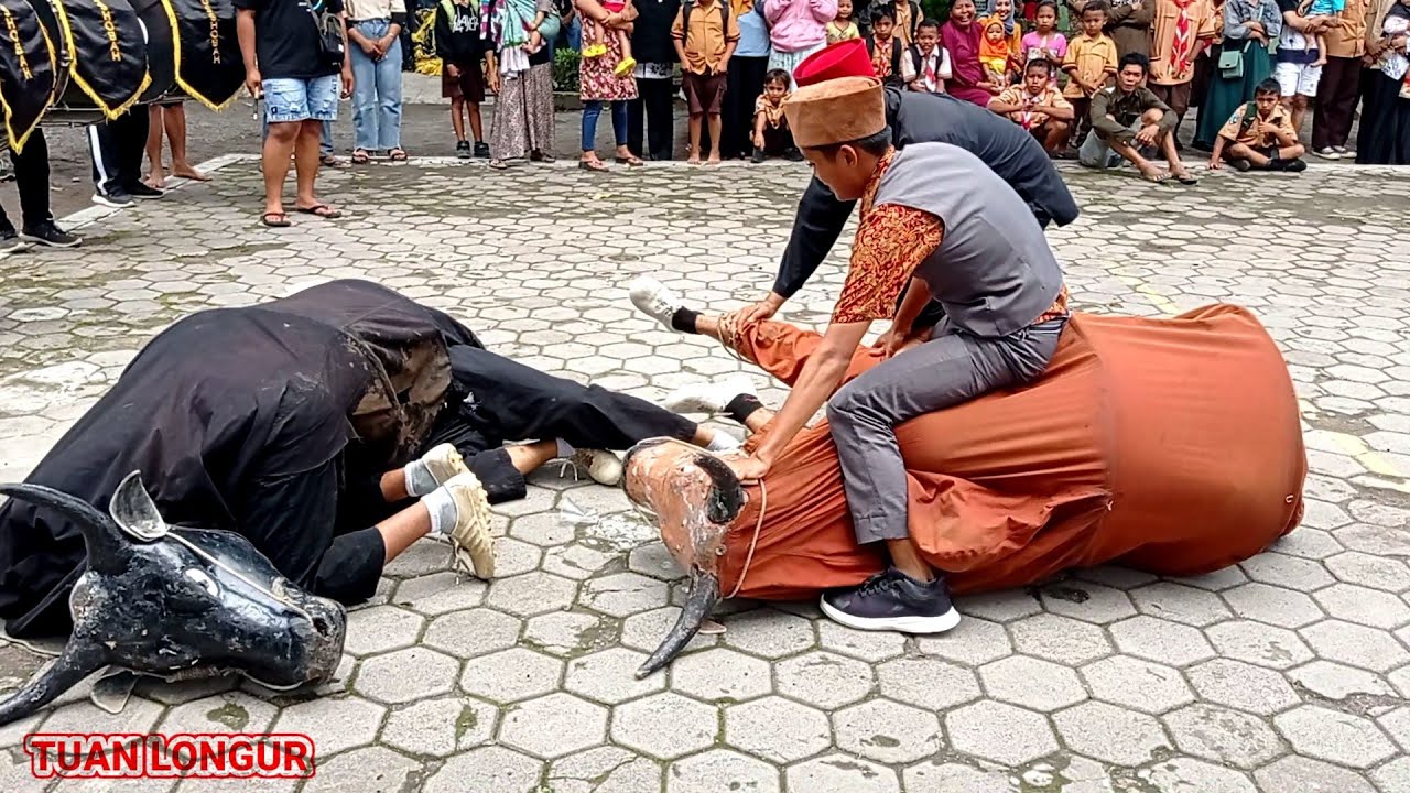 🔴BARU!!! KALI TAPEN ADUAN SAPI///DRUMBAND MACAN (MBAH LAKEK) HAMDIANS