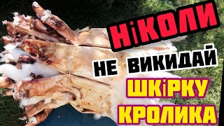 Куди продати шкірку кролика?