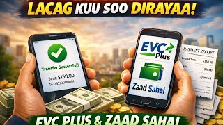 Habka Saxda Ah Ee Lacag Dirista Evc Plus Iyo Zaad