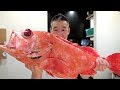 [오로시영상]일본 거대한 생선 회뜨기+먹방 fillet giant fish for sashimi and eating show