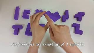 3D Pentominoes