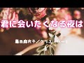 君に会いたくなる夜は/藤田麻衣子with クリス・ハート  #歌ってみた #cover