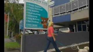 Totally Wild features Paddington Pups Doggy Daycare centre