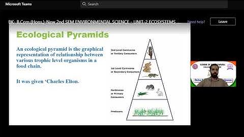 ENVIRONMENTAL SCIENCE     UNIT-2 ECOSYSTEMS 19/05/22