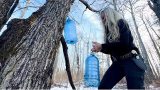 It’s That Time Again ~ Sweet Maple Sap by One Woman’s Wilderness 25,642 views 2 months ago 22 minutes