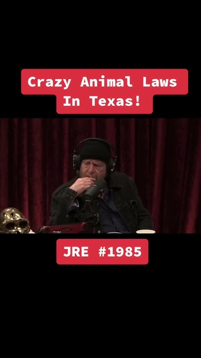 crazy-animal-laws-in-texas-p5-youtube