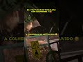Será...😂😒#colheitadeiras #comedyshorts #standap #ytshorts #destacar #comedy #dronefarming