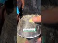 Removing A Splinter From A Horse S Hoof