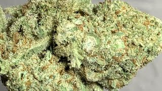 Bangers N Mac strain review