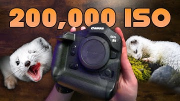 Canon R1  - Low Light King? (vs R5 Mark II)