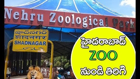 Nehru Zoological Park Shifting Shadnagar forest