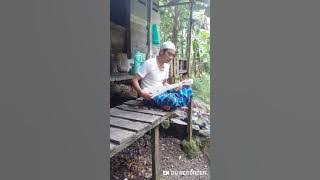 Musik Gambus tradisional ende terbaru