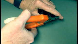 Trimming nails on a dog screenshot 5