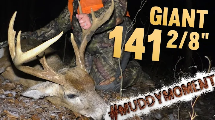 141 2/8" OLD WARRIOR WHITETAIL! Linda Lays it Down...