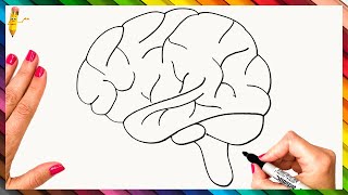 كيفية رسم الدماغ البشري خطوة بخطوة 🧠 رسم الدماغ بسهولة