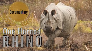 One-horned Rhino | documentary | Kaziranga