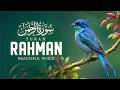 Surah Ar Rahman سورة الرحمن | The Most Beautiful & Heart Touching Quran Recitation for Peace
