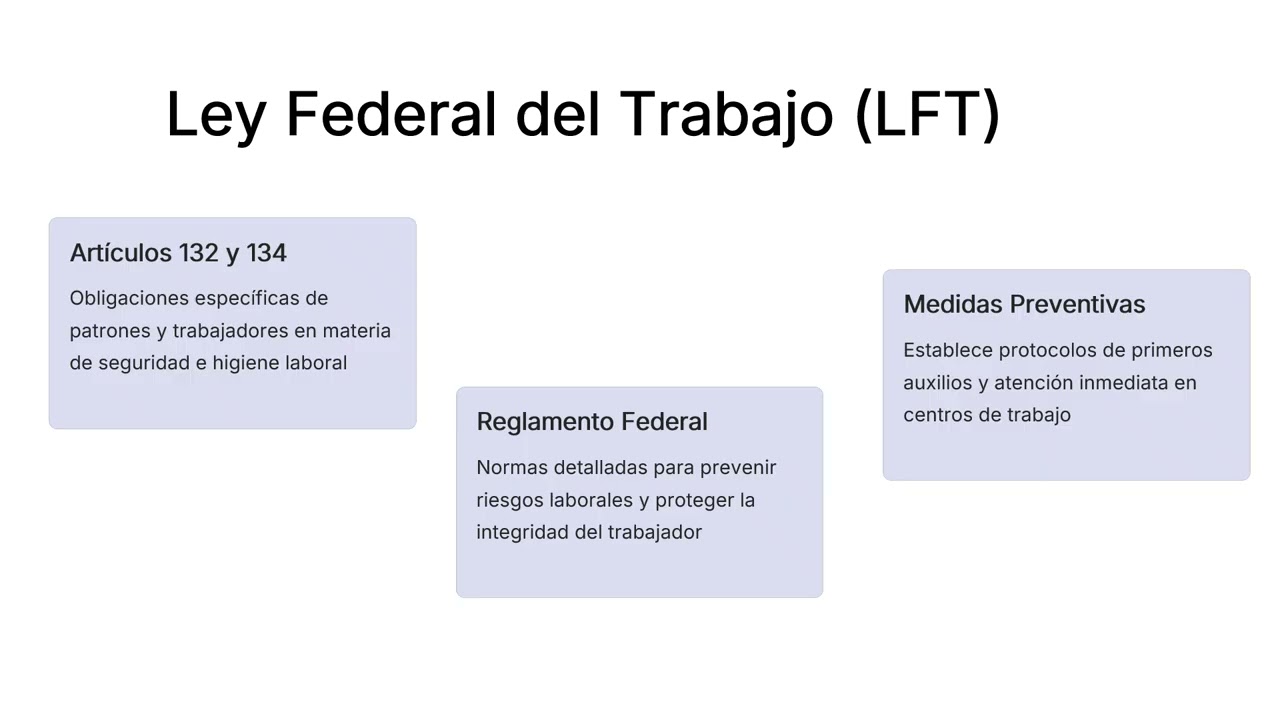 Higiene y Seguridad Industrial MARCO LEGAL